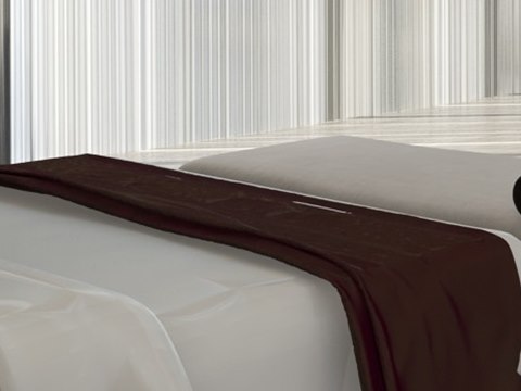 237 | Private Residence material palette — Oxblood throw