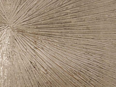294 - SR Residence material palette — Gilded relief