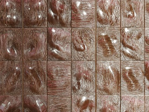 Arabian Ranches Residence material palette — Sculpted rose tile