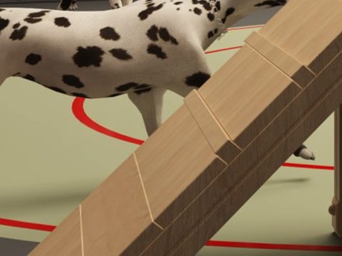 Dog Park material palette — Timber agility ramp