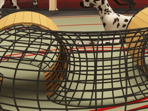 Dog Park material palette — Steel-wire tunnels