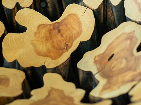 P257 | The Shadow Box material palette — Teak root